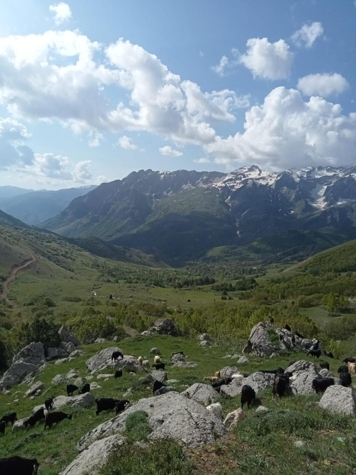 Askireg Hotel Tunceli ภายนอก รูปภาพ