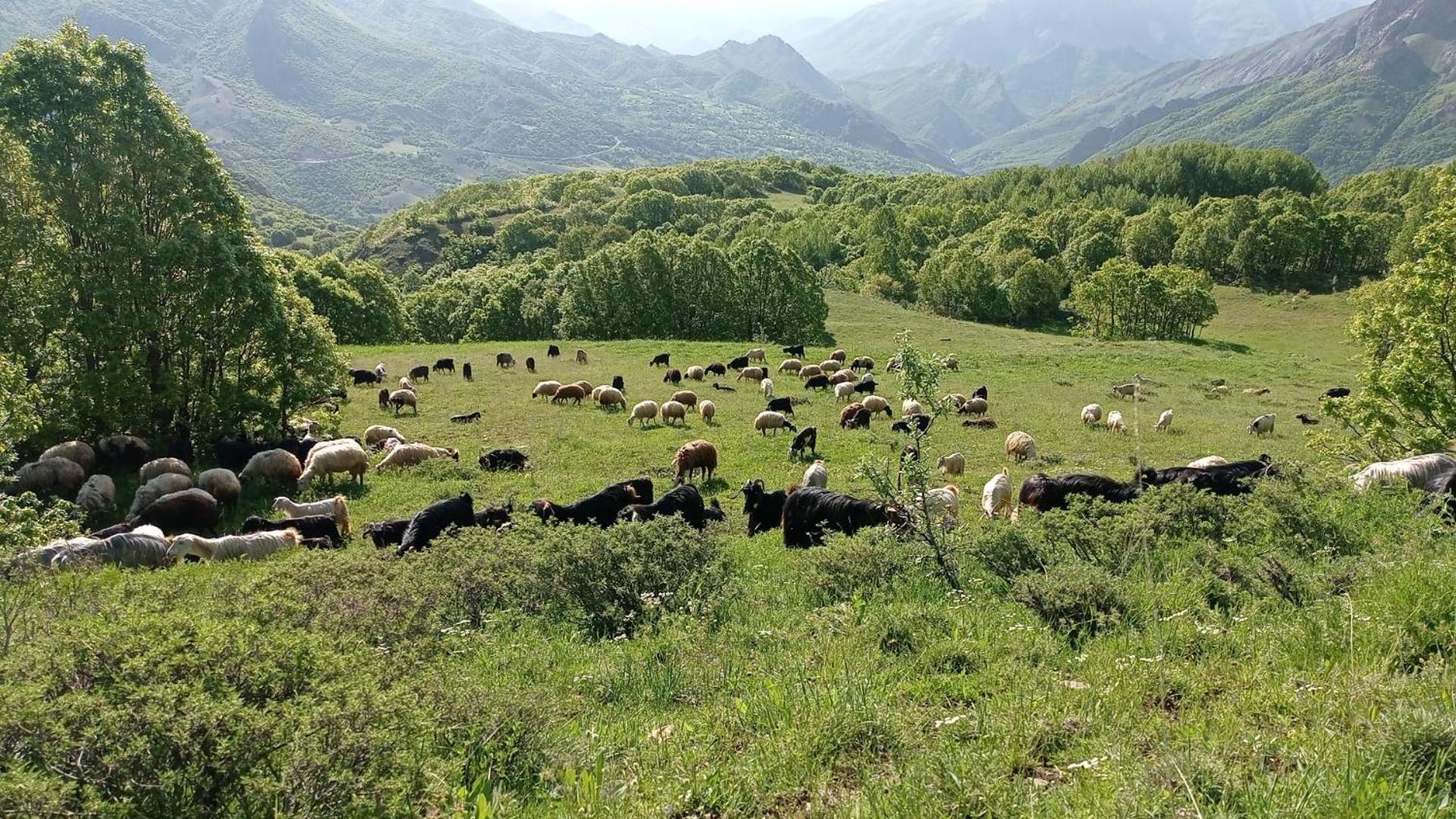 Askireg Hotel Tunceli ภายนอก รูปภาพ